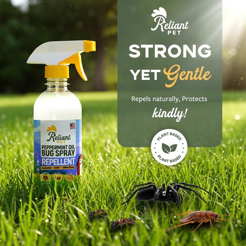 Peppermint Oil Bug Spray