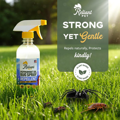 Peppermint Oil Bug Spray